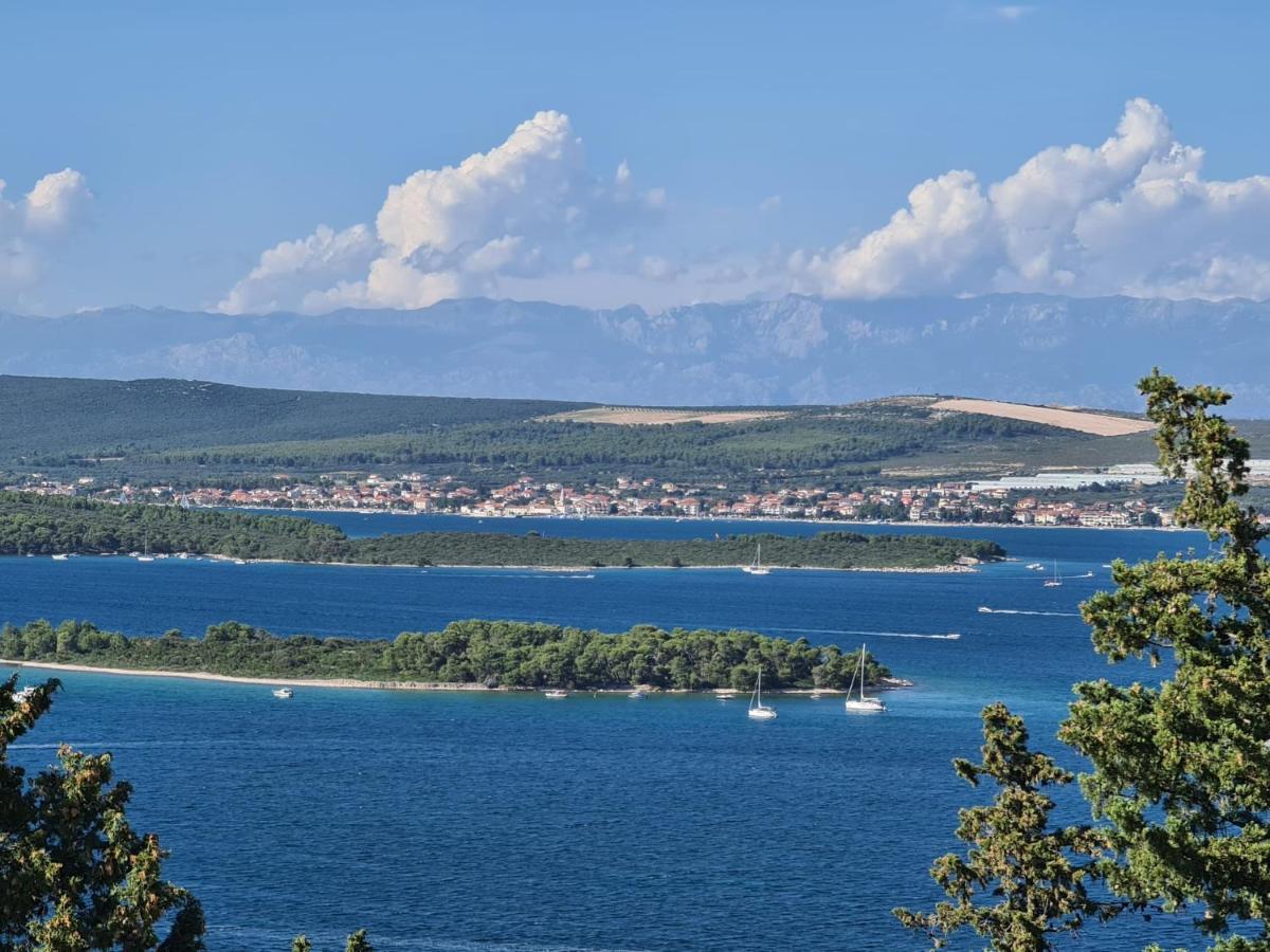Apartmani Cosic Ante Dobropoljana Extérieur photo